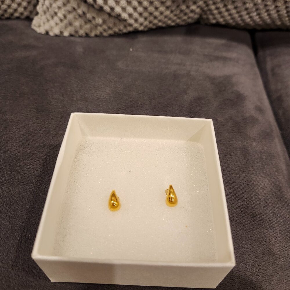 Teardrop Earrings Brandnew